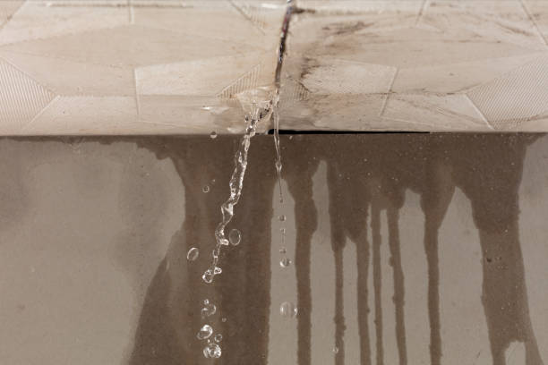 Professional Water Damage Inspection technician working in Peru, IN